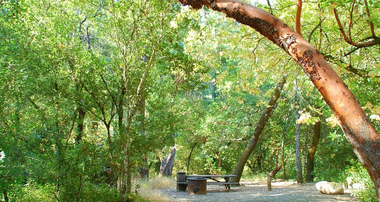 Bothe-Napa Valley State Park