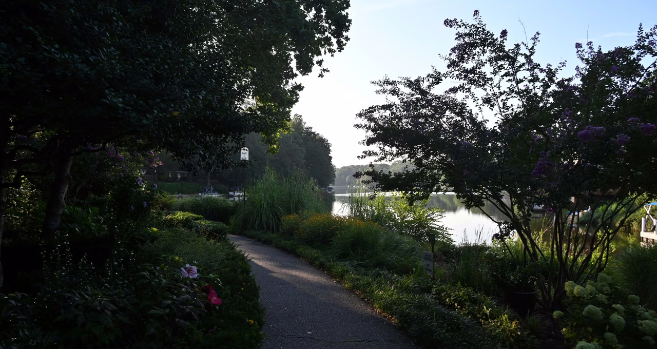 Lake Anne Loop Trail