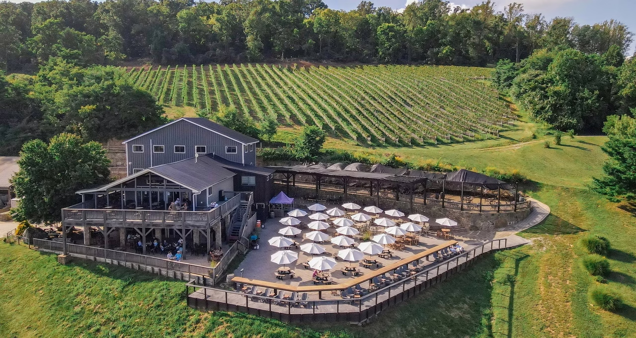 Bluemont Vineyard