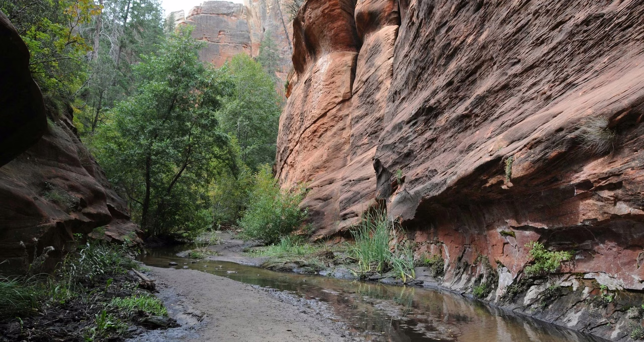 West Fork Oak Creek Trail