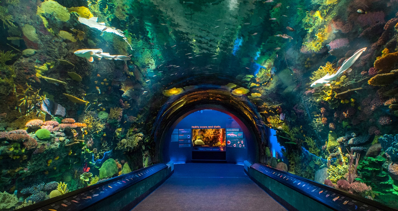 New York Aquarium