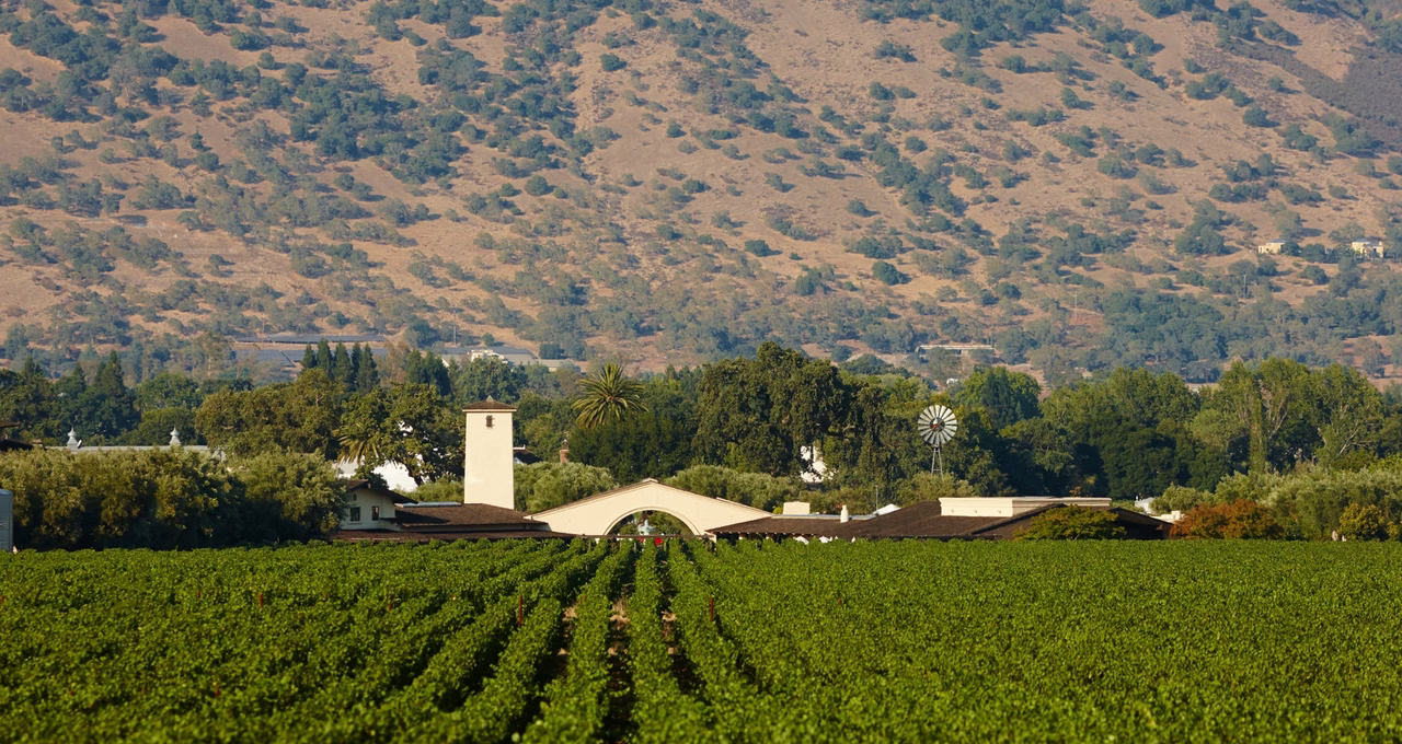 Robert Mondavi Winery