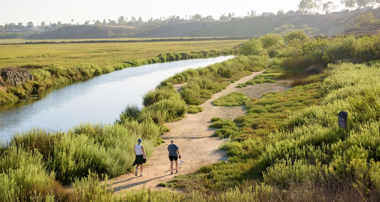 Upper Newport Bay Nature Preserve