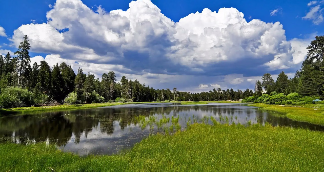 Bluff Lake Reserve