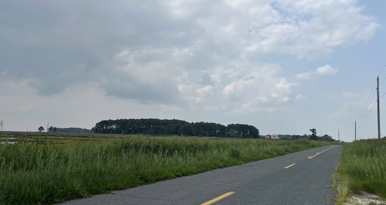 Elliott Island Road