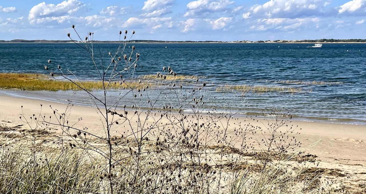 Barnstable Harbor & Millway Beach