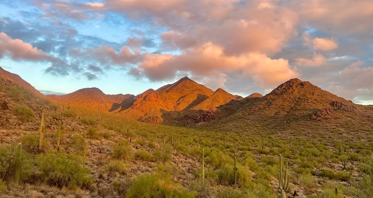 McDowell Sonoran Preserve – Gateway Trailhead