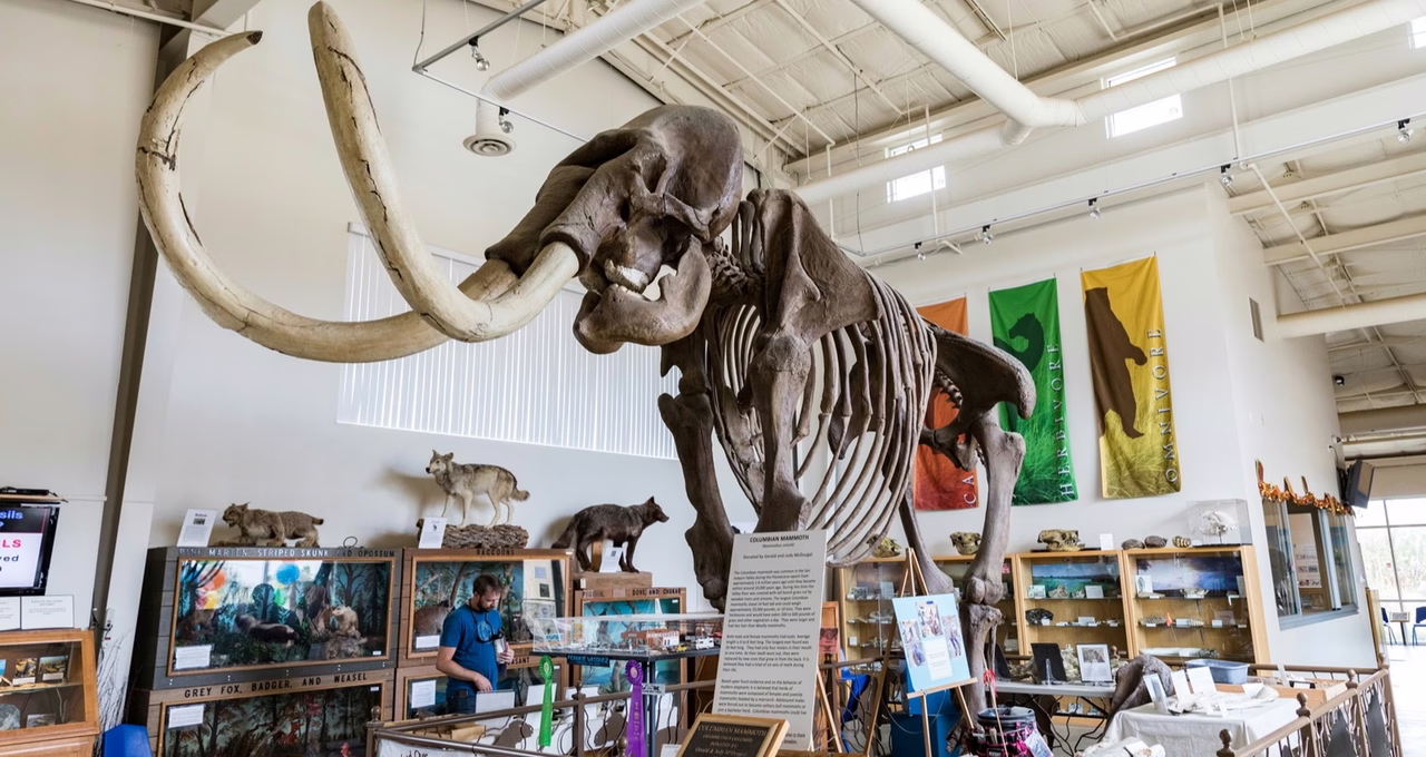 Fossil Discovery Center of Madera County