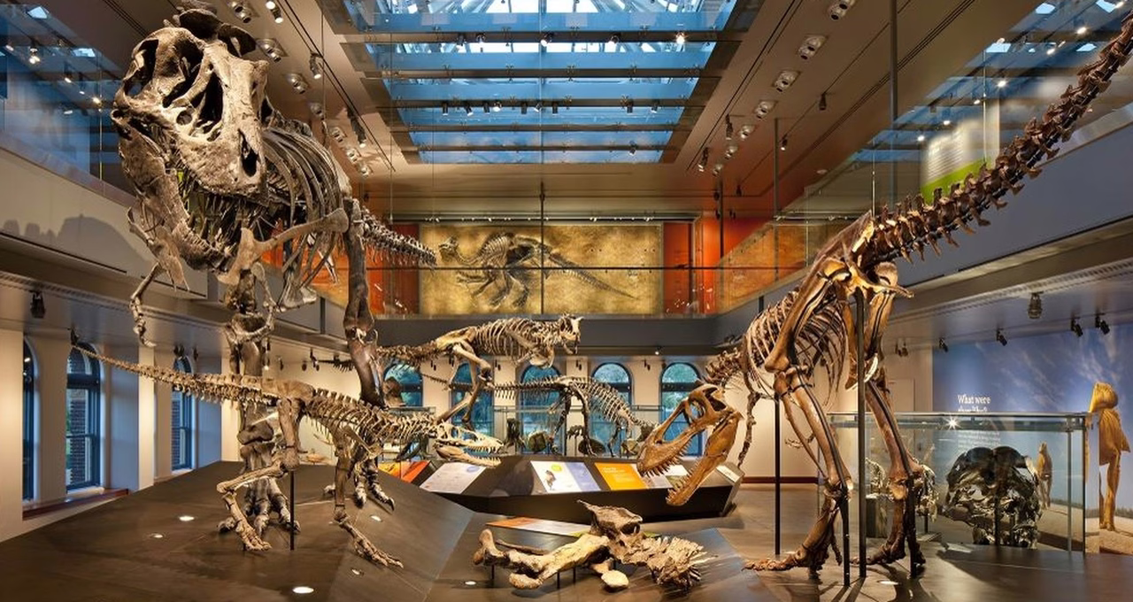 Natural History Museum of Los Angeles County