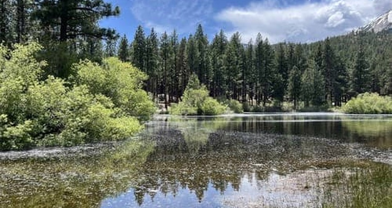 Davis Creek Regional Park