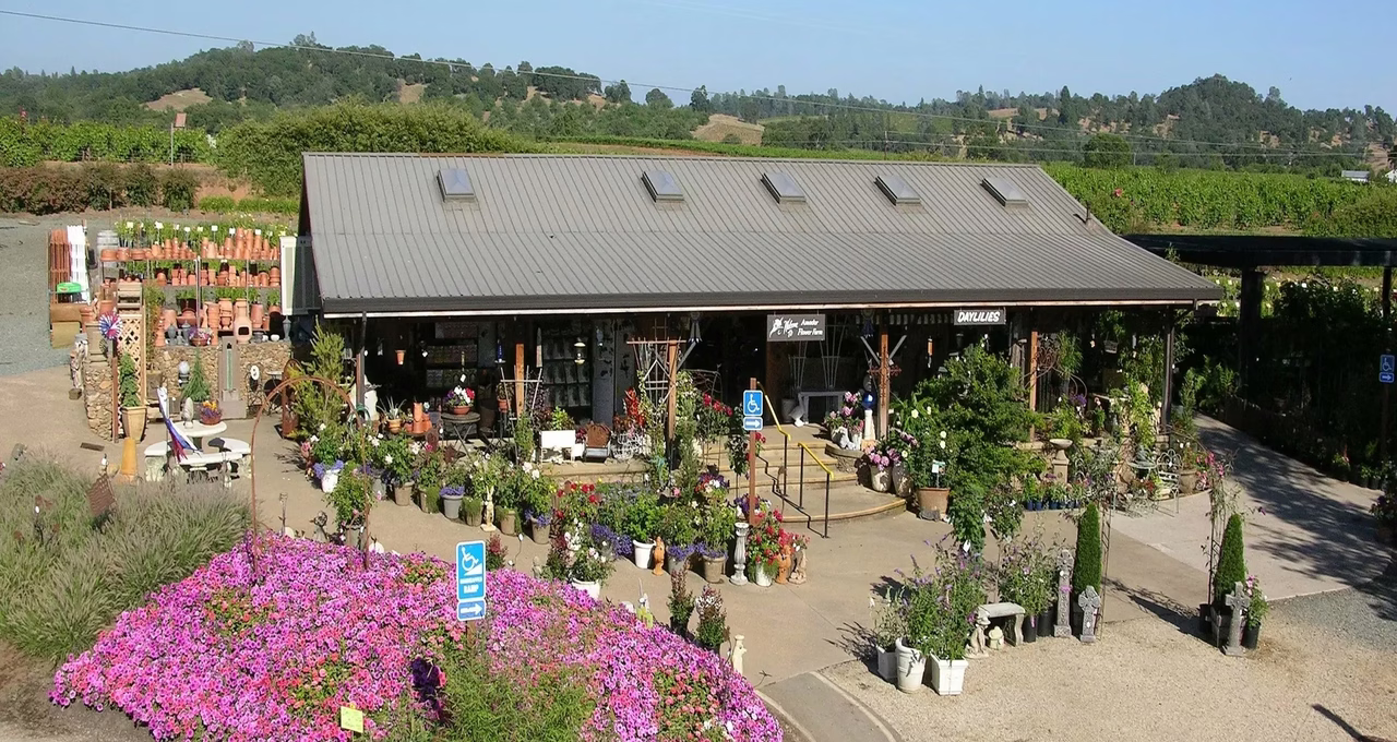Amador Flower Farm