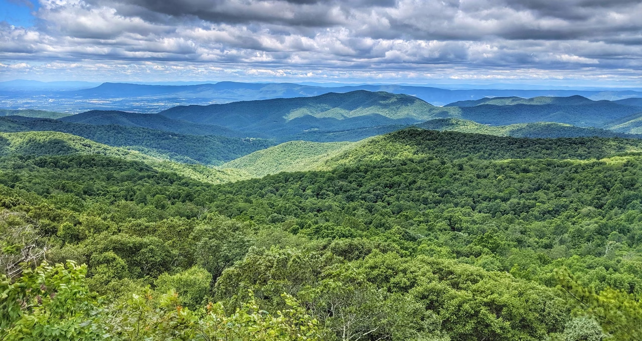 The Point Overlook