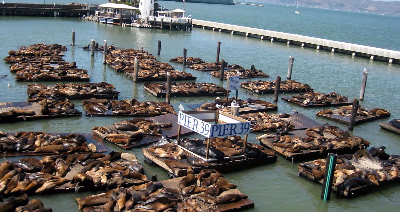 Pier 39