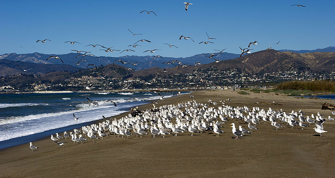 McGrath State Beach