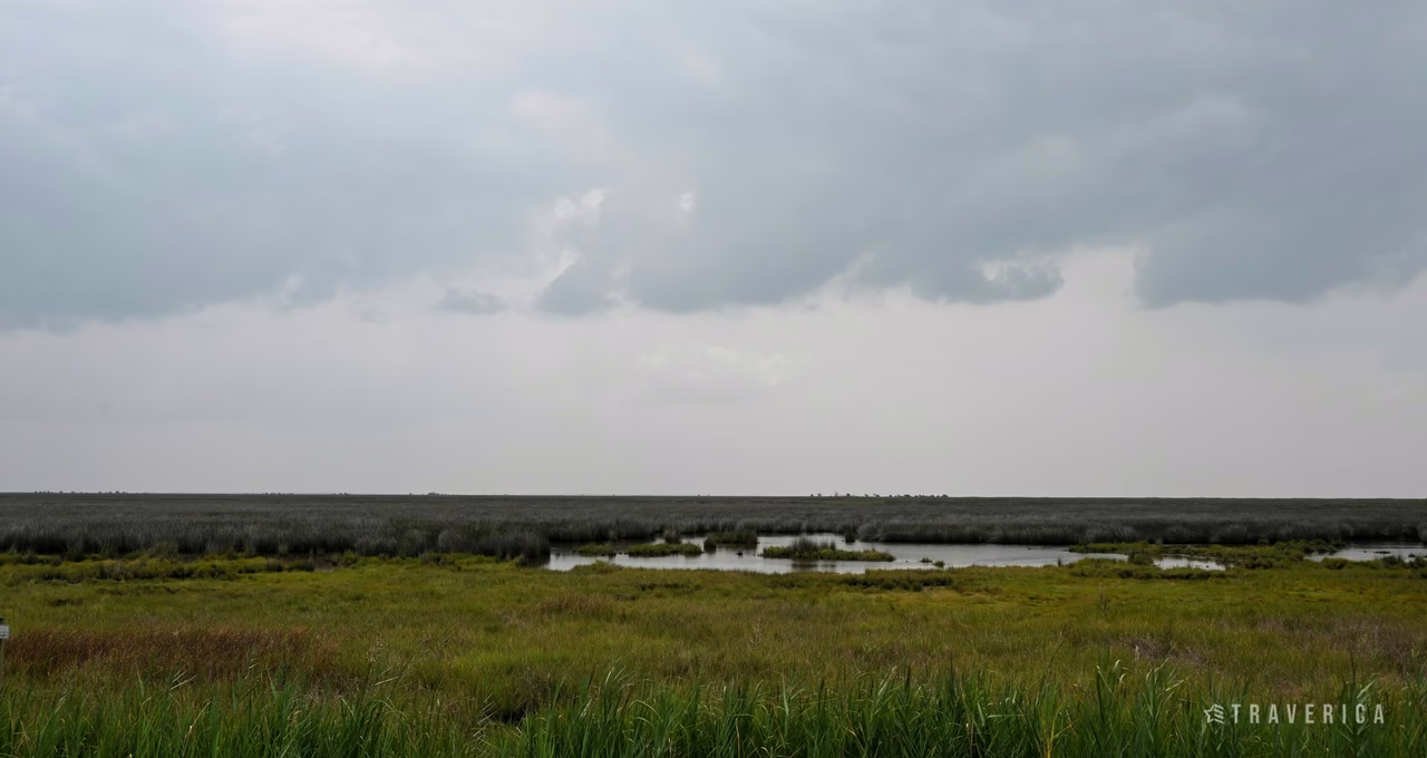 Blackwater National Wildlife Refuge