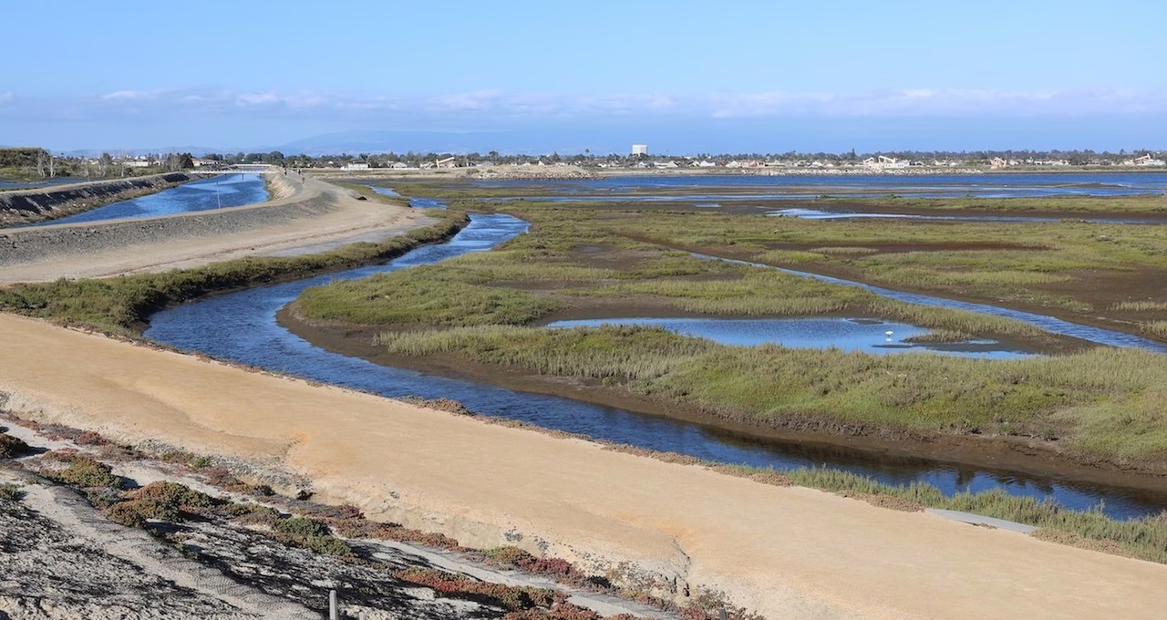 Bolsa Chica Ecological Reserve