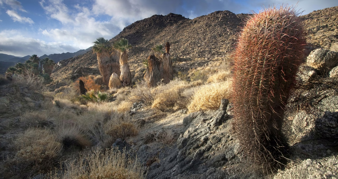 Santa Rosa & San Jacinto Mountains National Monument Visitor Center