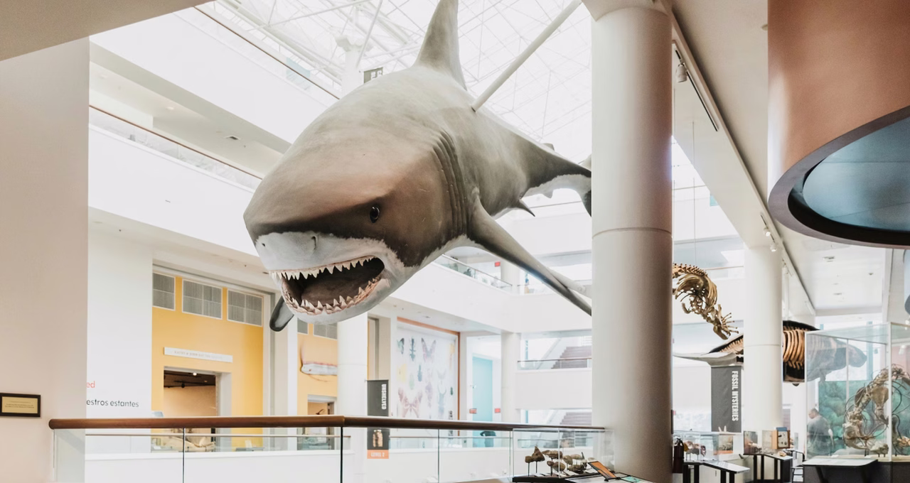 San Diego Natural History Museum