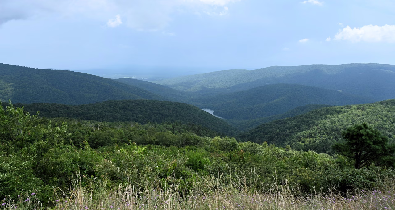 Moormans River Overlook