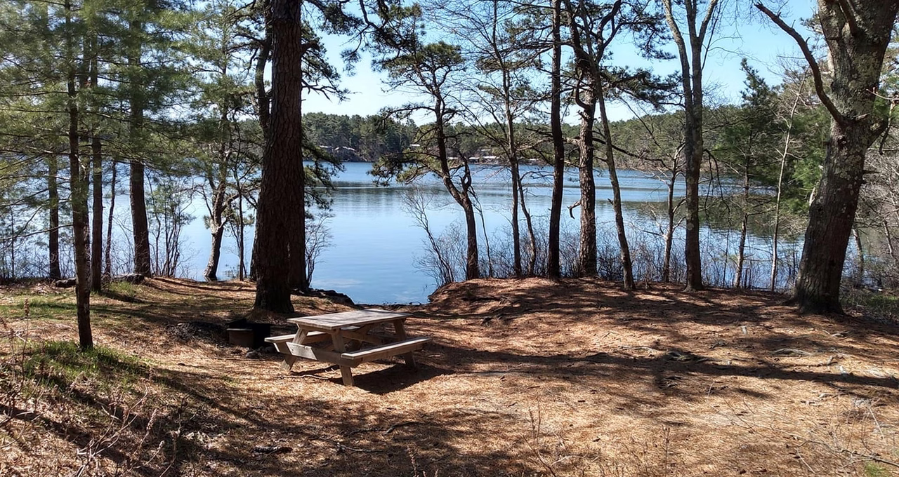 Myles Standish State Forest