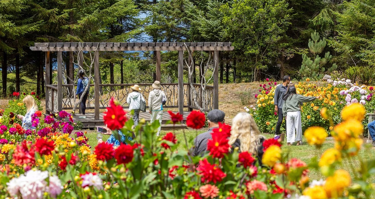 Mendocino Coast Botanical Gardens