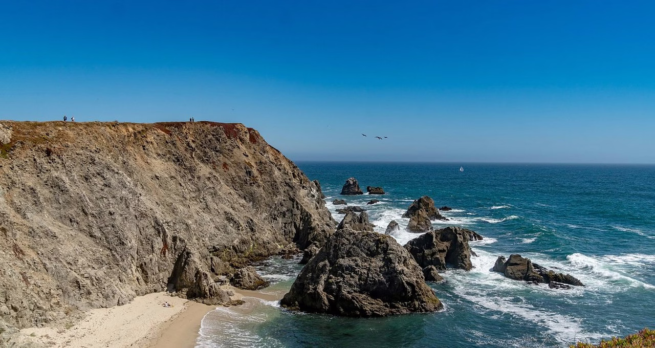 Bodega Head