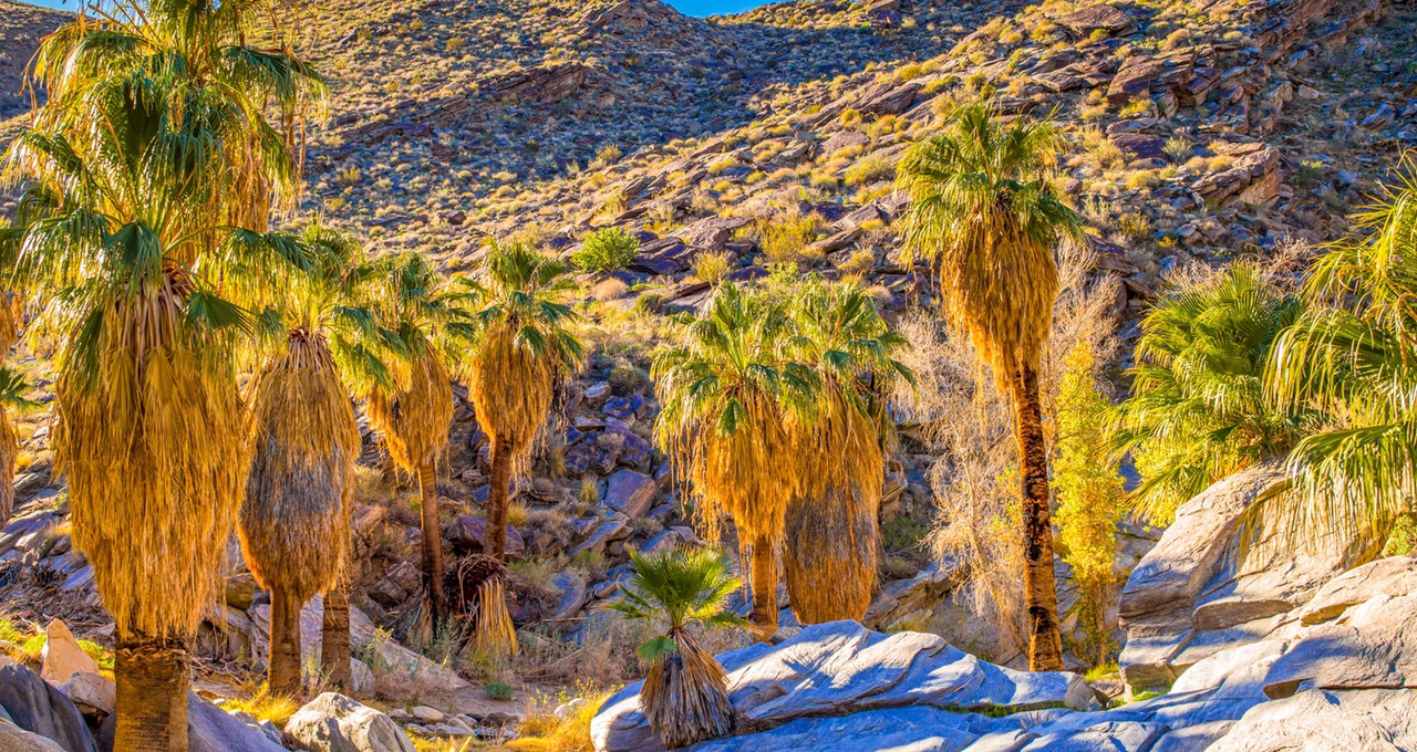 Indian Canyons